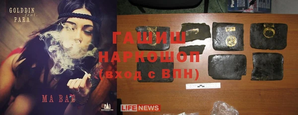 хмурый Абаза
