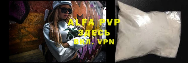 хмурый Абаза
