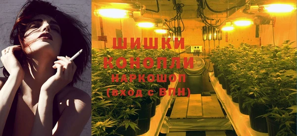 прущие грибы Абинск