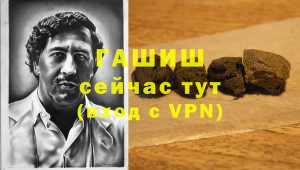хмурый Абаза