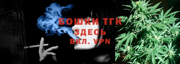хмурый Абаза
