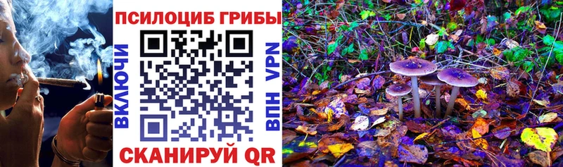 мега онион  Анадырь  Псилоцибиновые грибы GOLDEN TEACHER  где продают  